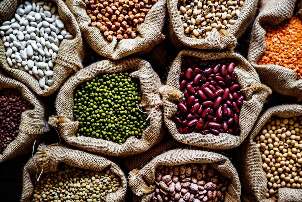 las legumbres, el ingrediente que no puede faltar en ninguna dieta