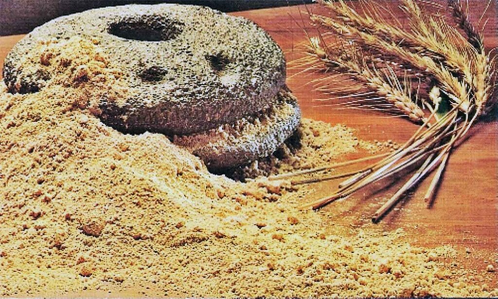 Discover the Millennial Superfood of the Canary Islands 1 Discover the Millennial Superfood of the Canary Islands canary superfood