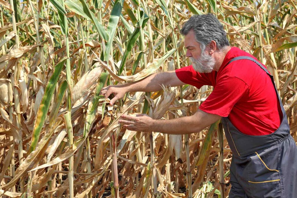 la sequía, una vieja conocida del ser humano