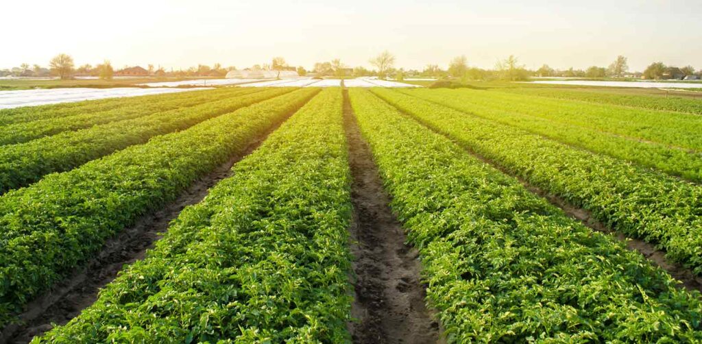 The Agricultural Policy of the European Union 1 The Agricultural Policy of the European Union Política Agraria Europea